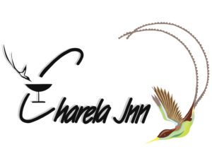 Project 1177 Secures First Sponsor