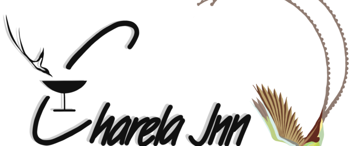 Project 1177 Secures First Sponsor